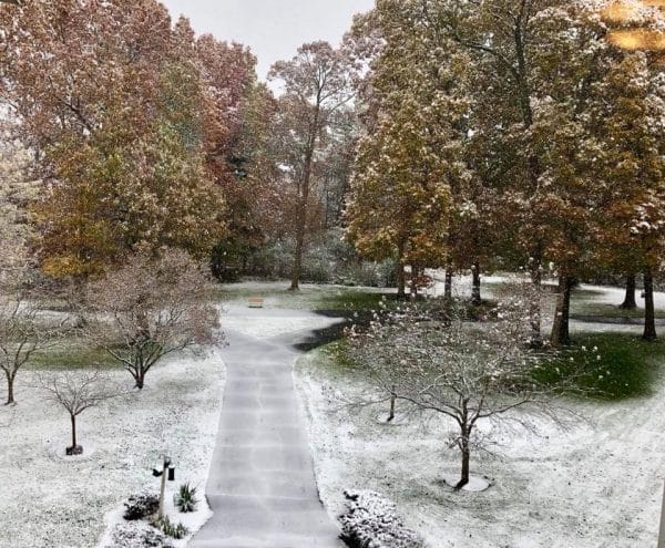 Snow covered grounds of Baldwin House Lloyd’s Bayou
