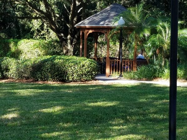 Outdoor grassy area with wooden gazebo at Arden Courts of Palm Harbor
