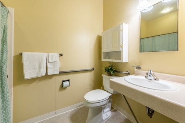 American House Johnson City Bathroom with grab bars
