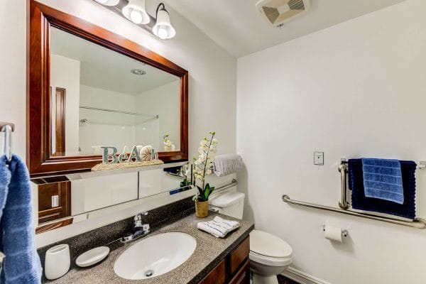 Bathroom in Model Apartment at Avista Senior Living Magnolia