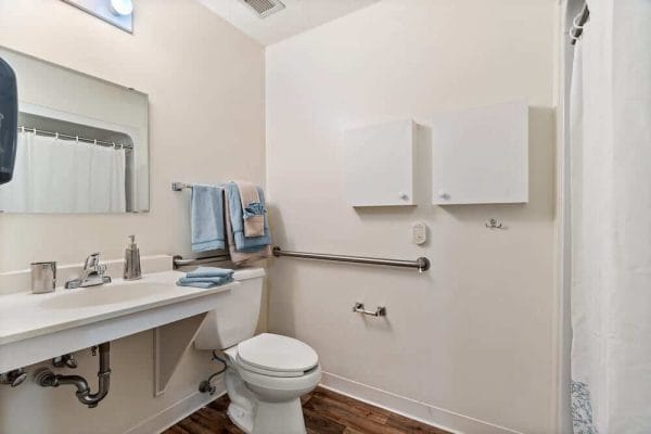 TerraBella Spartanburg model home bathroom