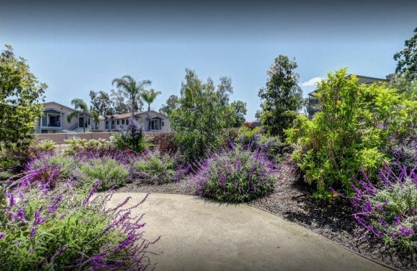 Pathway through a garden area with purple flowers and multiple trees at Cypress Court