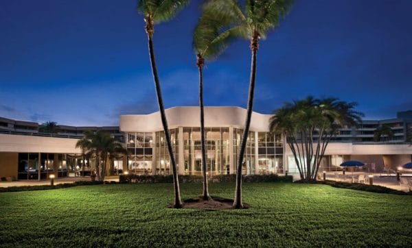 Harbour's Edge courtyard with three tall palms at night