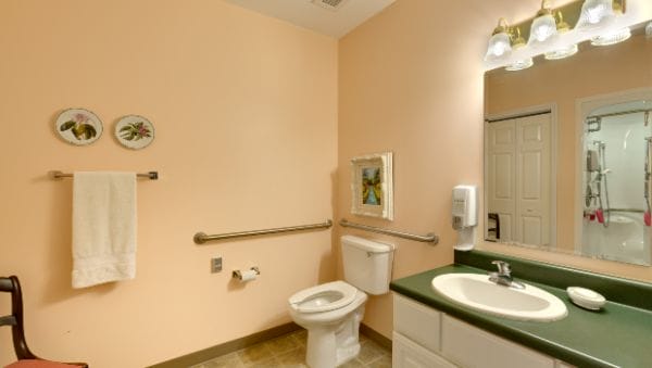 Resident bathroom in a unit at LakeView Estates