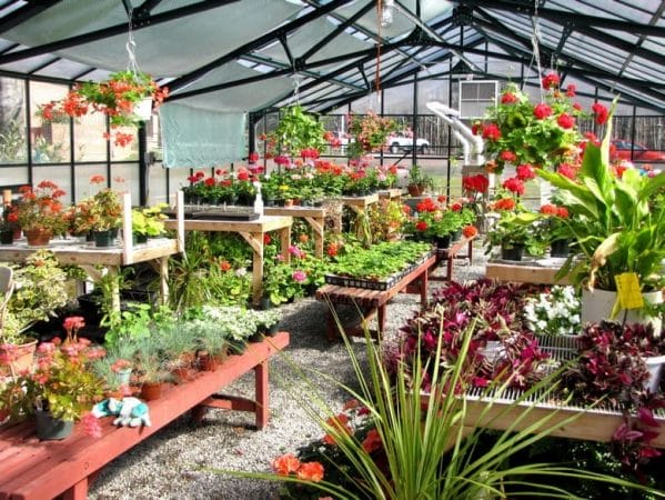 Meadow Lakes Greenhouse