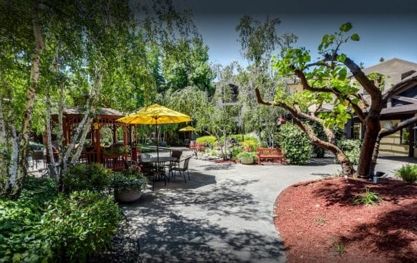 Outdoor patio at Cypress Court with outdoor table and chairs, yellow umbrella and surrounded by beautiful trees.