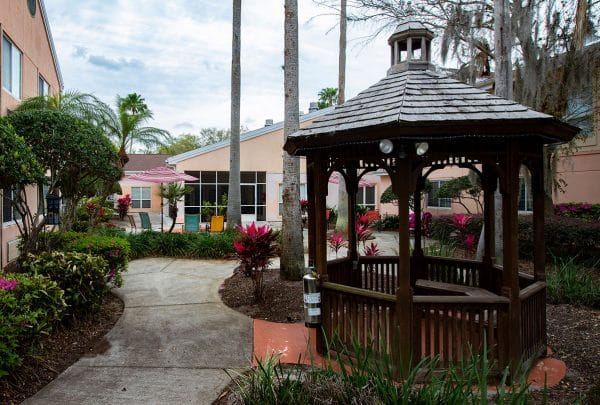 The courtyard of Savannah Court of Maitland with tall palm trees, flowers and a wooden gazebo