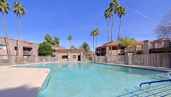 Outdoor swimming pool with tall palm trees at Pueblo Norte Senior Living