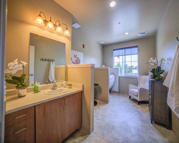 Bathroom in Model Apartment at The Village at Seven Oaks