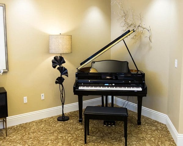 Piano at Bathroom in Model Apartment at The Village at Seven Oaks