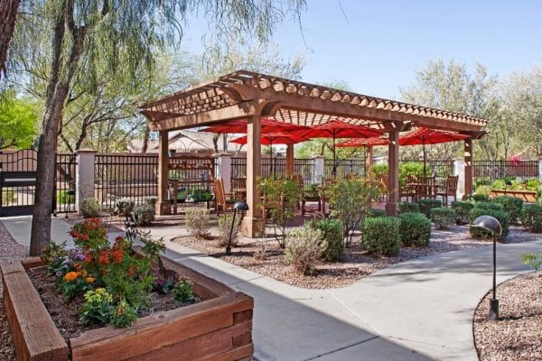 Sunrise of Chandler outdoor pagado and raised garden beds