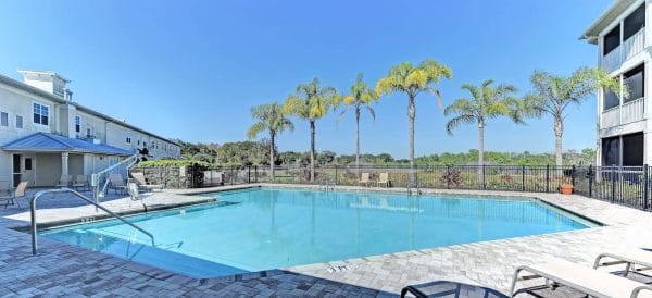 Waters Edge of Lake Wales outdoor swimming pool with tall palm trees