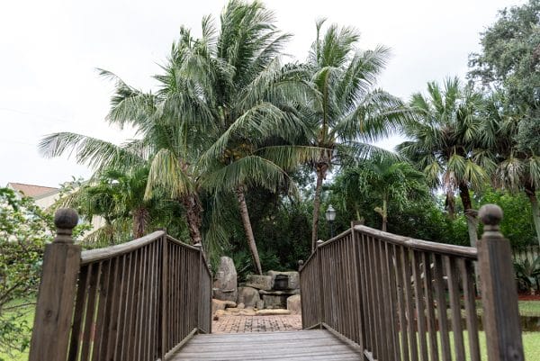 Jupiter Rehabilitation and Healthcare Center bridge to palm trees